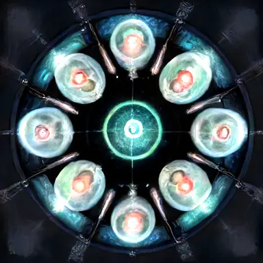 The staff of Bio-mitosis problem, explained